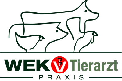 WEK Tierarzt 2026