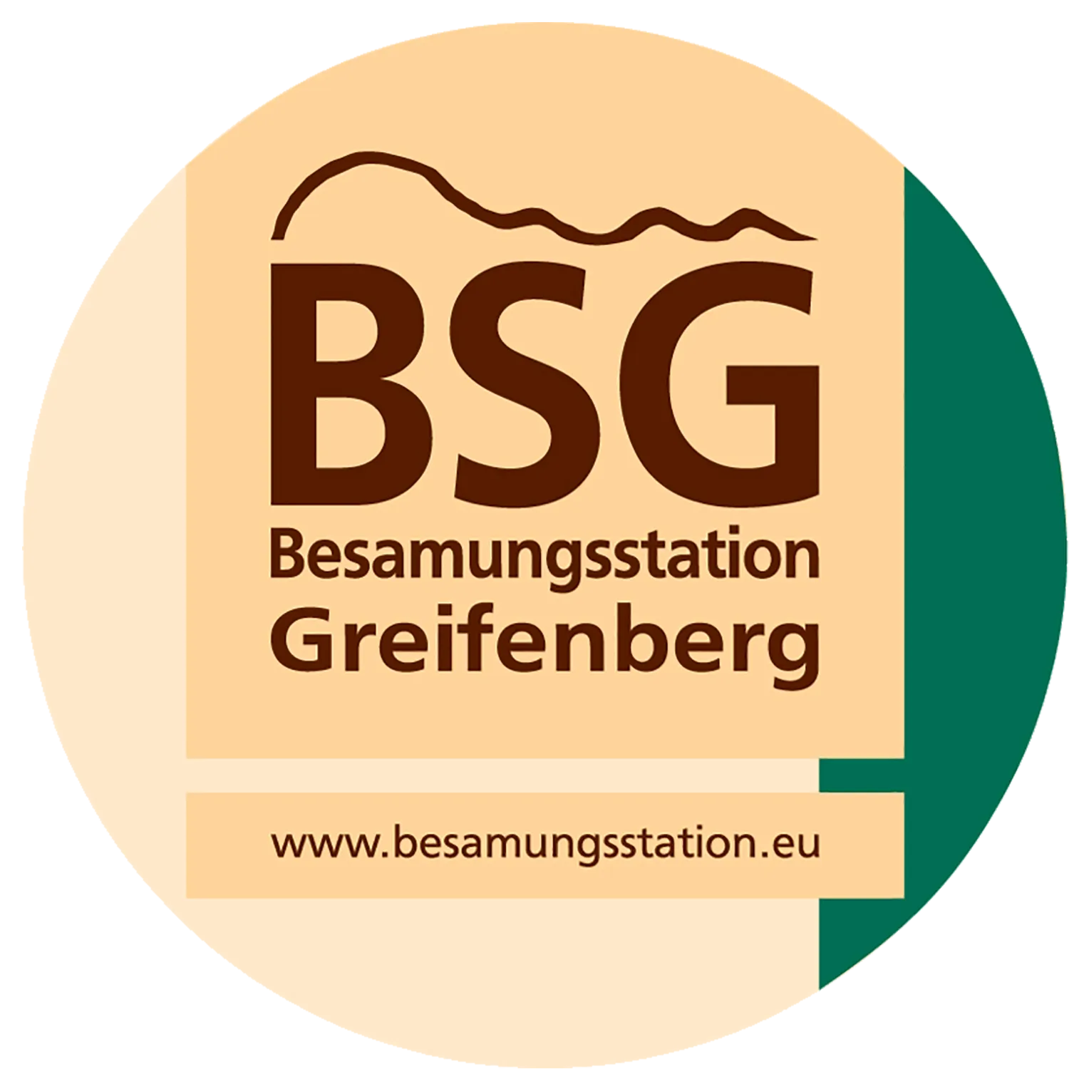 Logo Rund Banner BSG