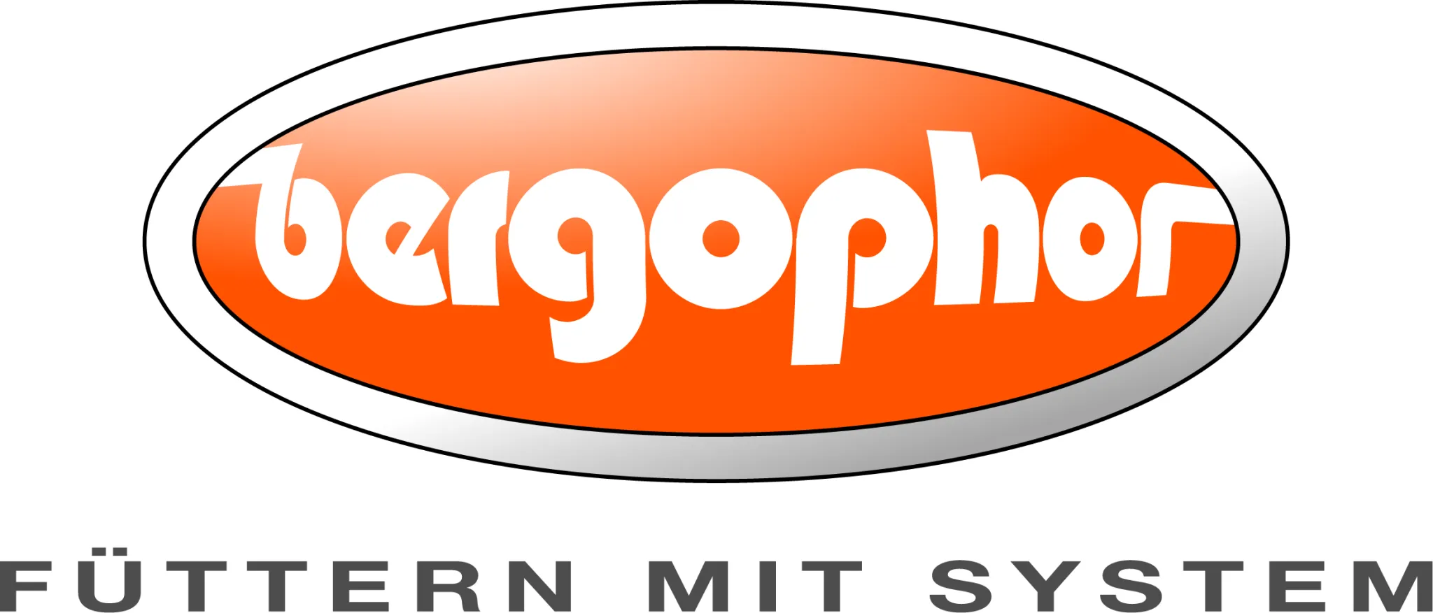 Logo   Bergophor 4c Grau