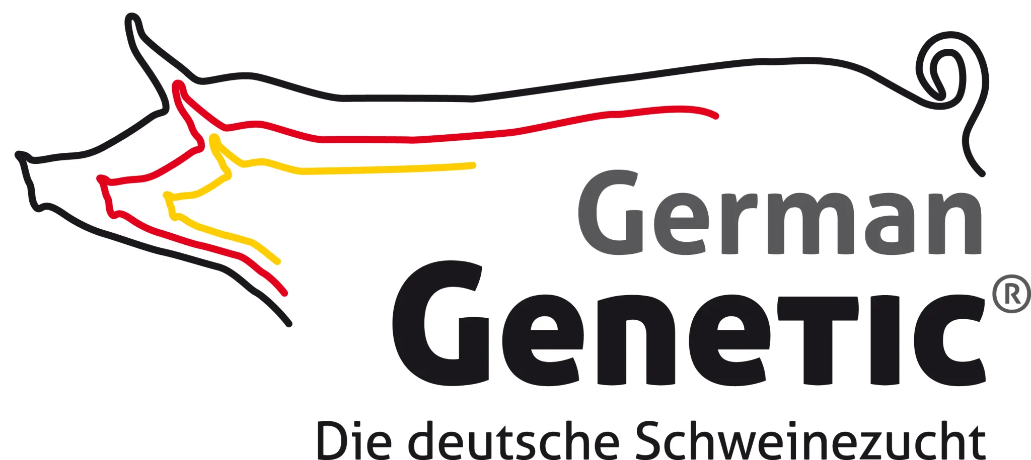 Logo   German Genetic