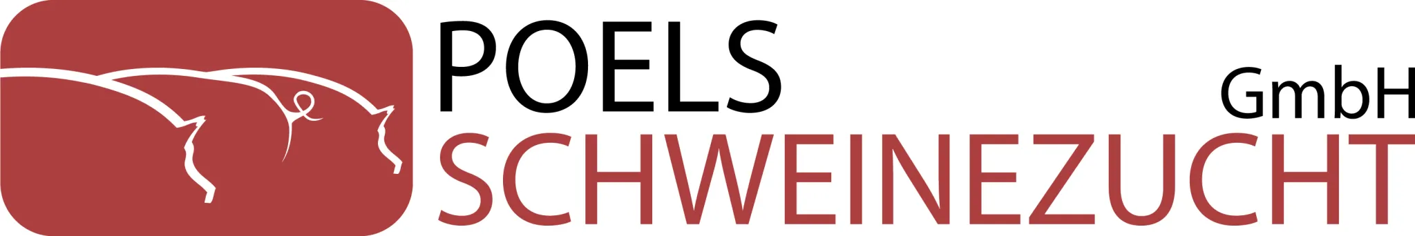 Logo   POELS Schweinezucht Final