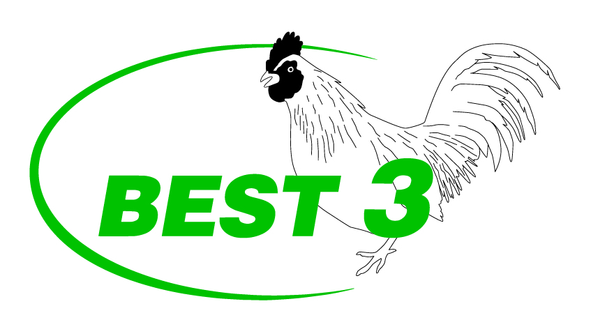 Logo Best3 CMYK