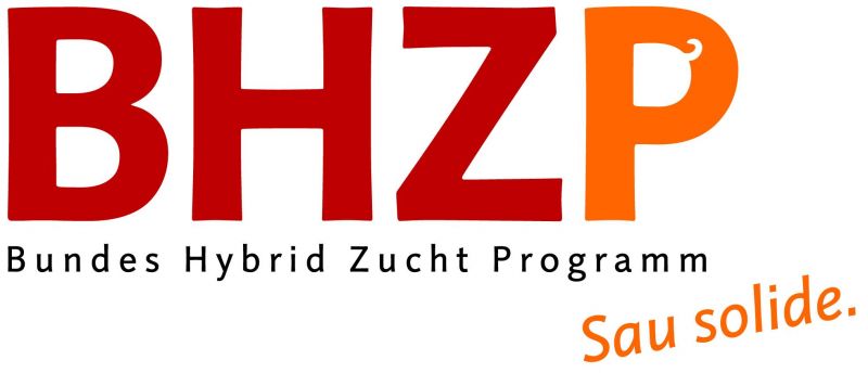 BHZP Logo