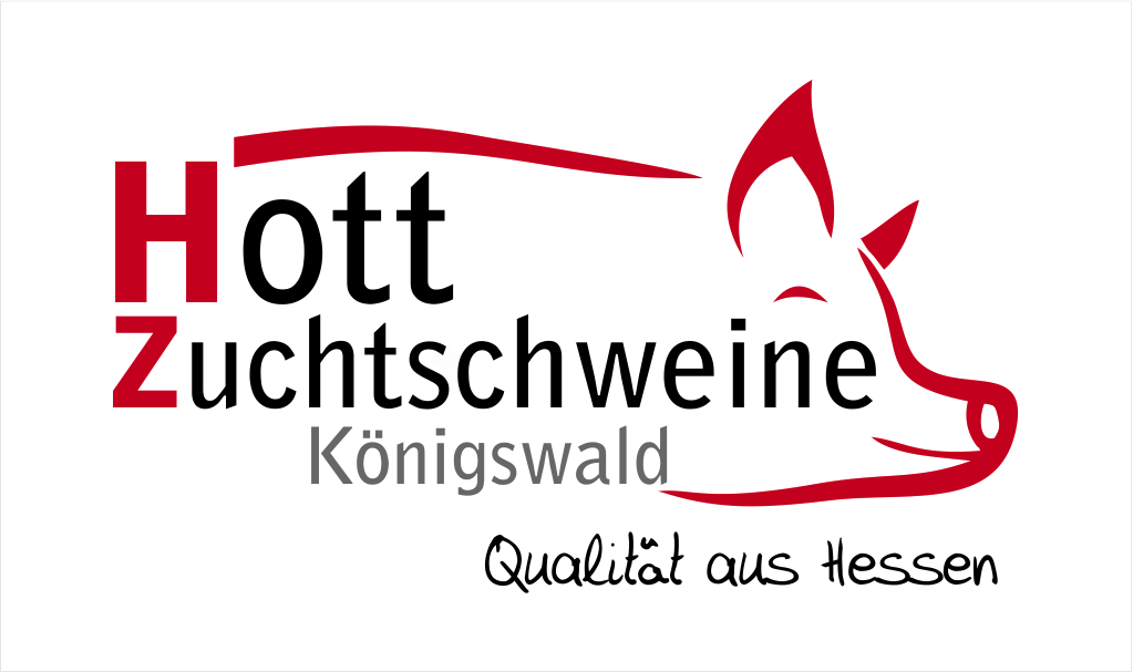 Hott Logo (002)