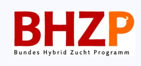 Logo   BHZP