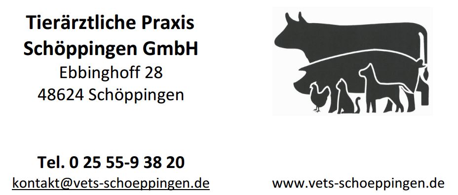 Logo   Tierärztliche Praxis Schöppingen ( GT GmbH)