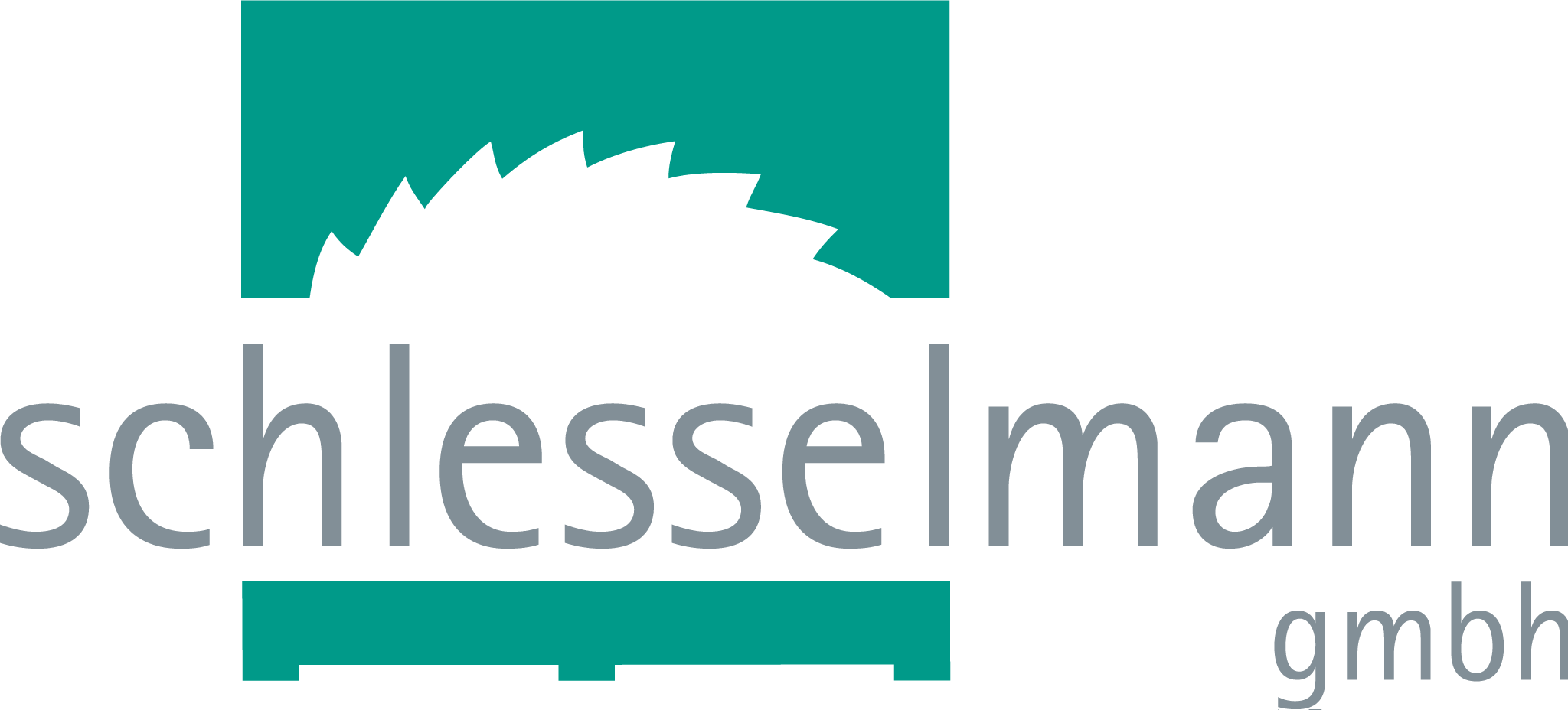 Schlesselmann Logo 4c