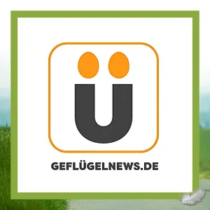 Logo von GEFLÜGELNEWS.DE
© Big Challenge/Geflügelnews